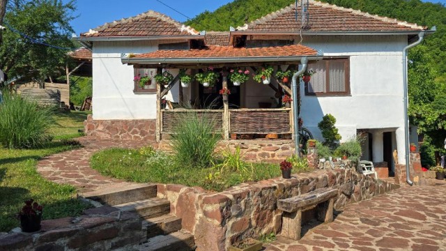 Mountain Home Shoom